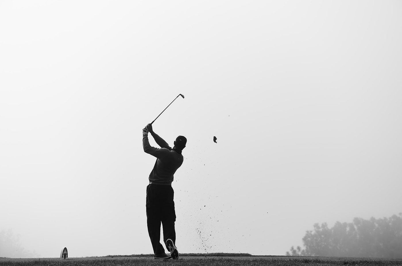 Tiger-follow-through.jpg