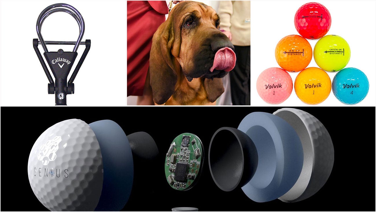 Lost your ball? Here are six ways to find it