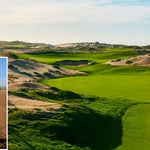 Tiger Woods, Diamante