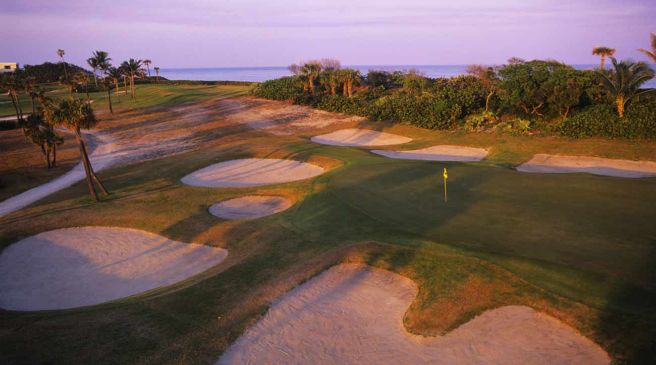 Seminole Pro Member