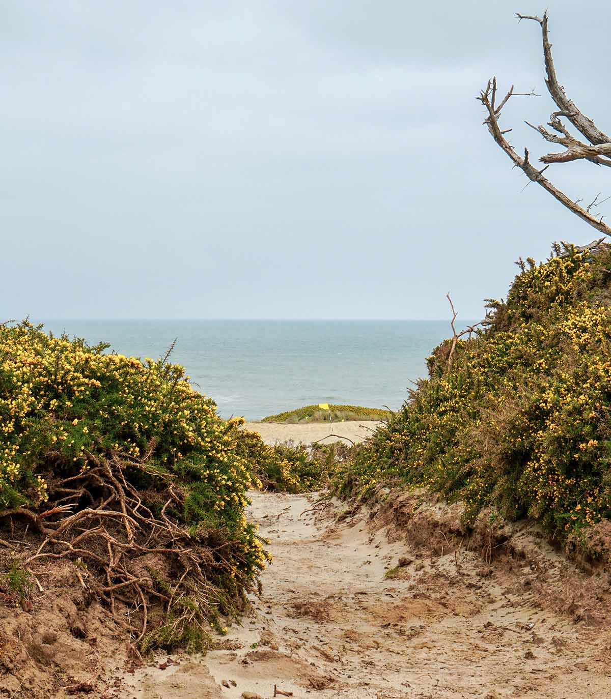 When you walk to the 17th tee box and look back, this is the view you&rsquo;ll get of the 16th green.