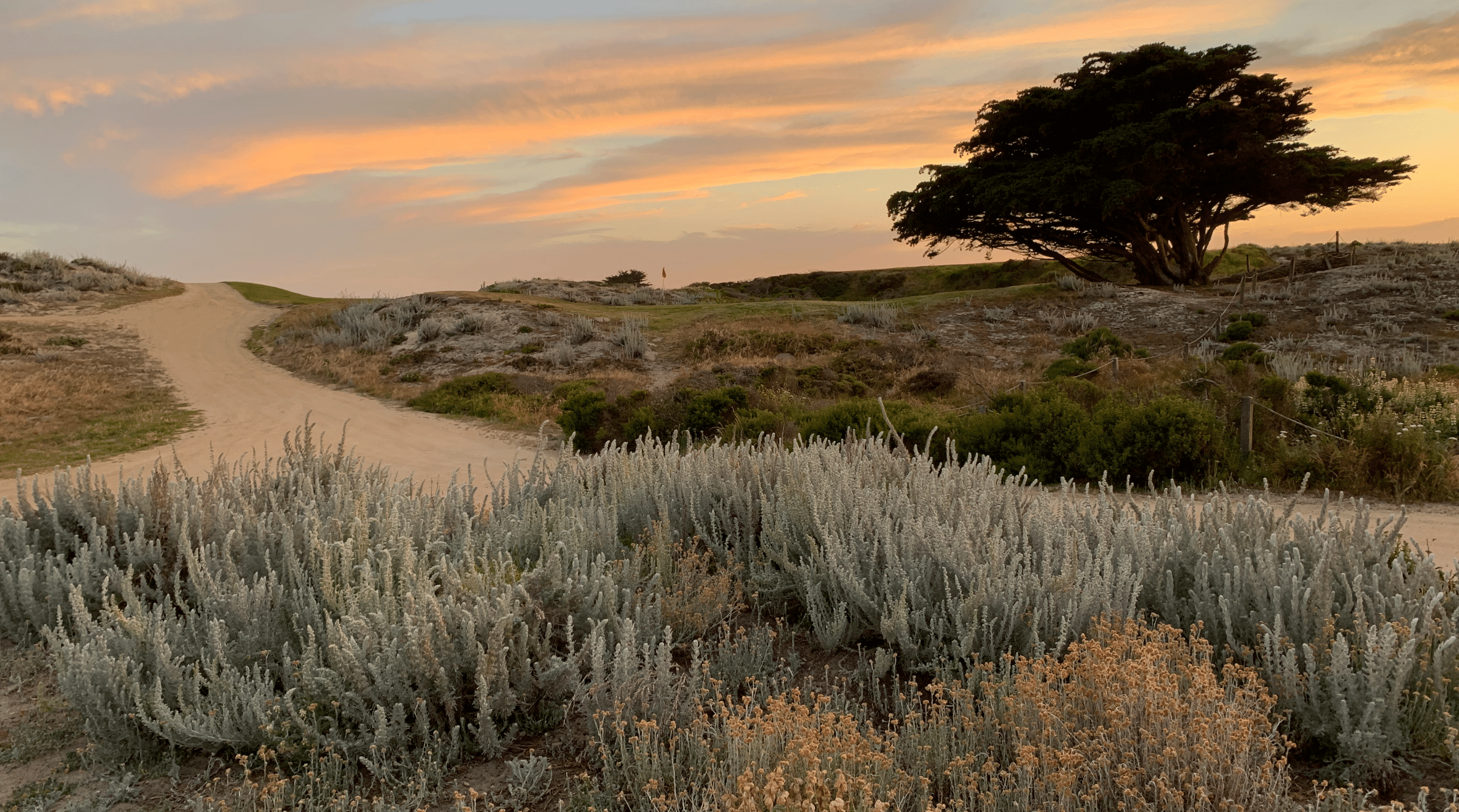 Evening golf at Pac Grove?Yes, please. 