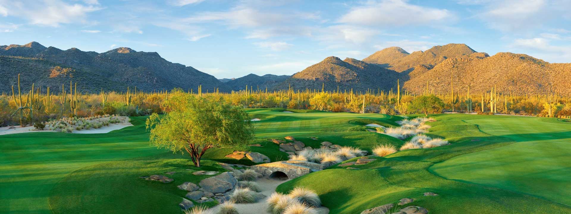 Ritz-Carlton Dove Mountain, GOLF's Top 100 Resorts