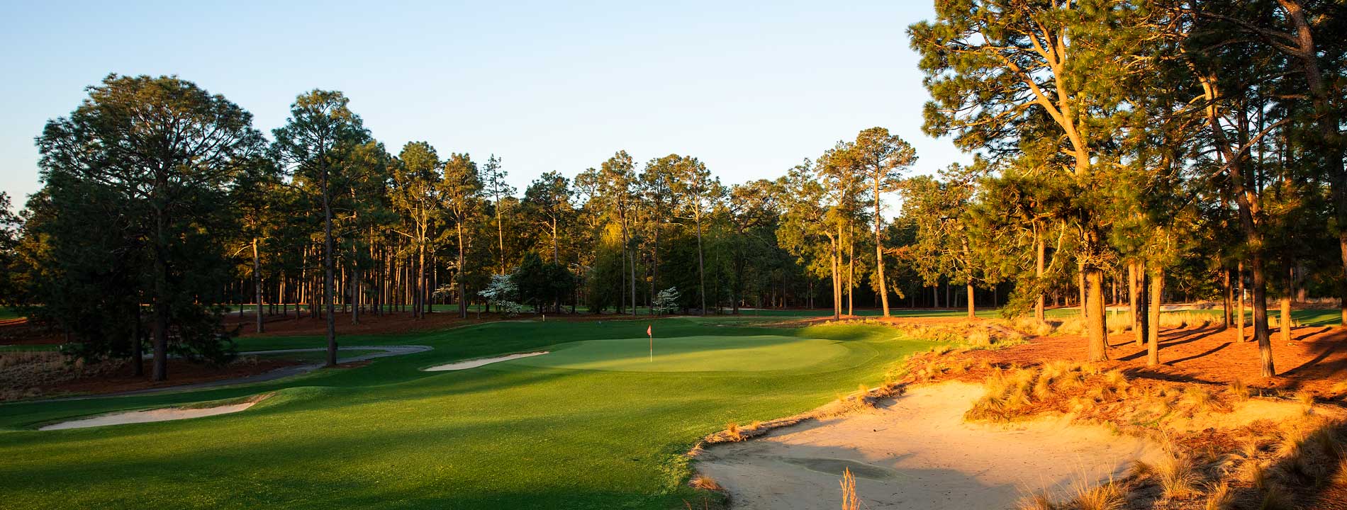 Pine Needles was designed by Donald Ross in 1927 and recently renovated in 2017 by Kyle Franz.