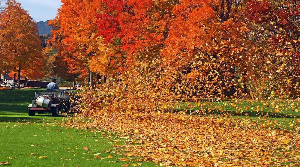 If you are playing fall golf in the leaves, know this key rule.