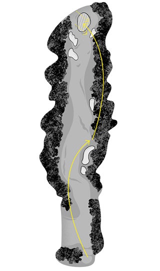 The switchback is a hallmark of Donald Ross's course designs, forcing golfers to hit good shots from a variety of angles to score well.