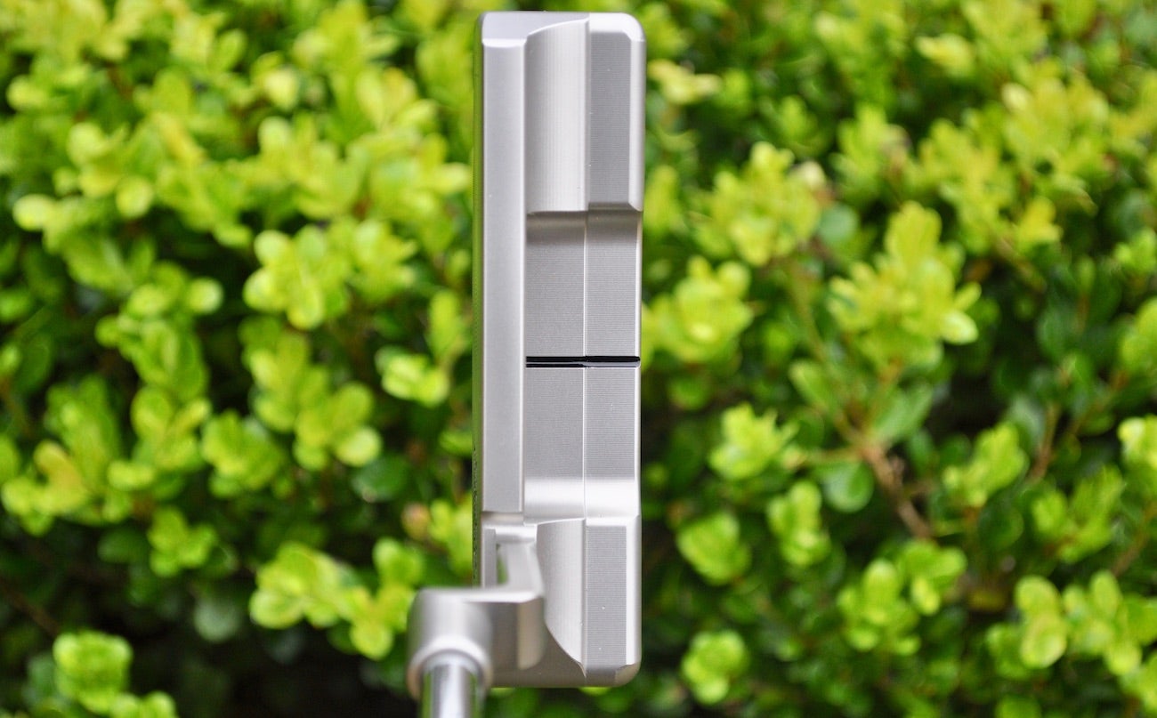Thinner and flatter toplines can be found on the blade models.