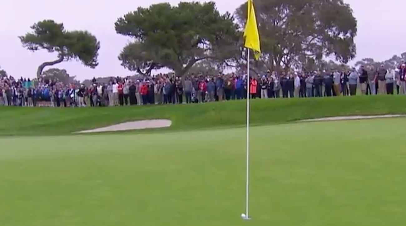 Tiger eagle holeout