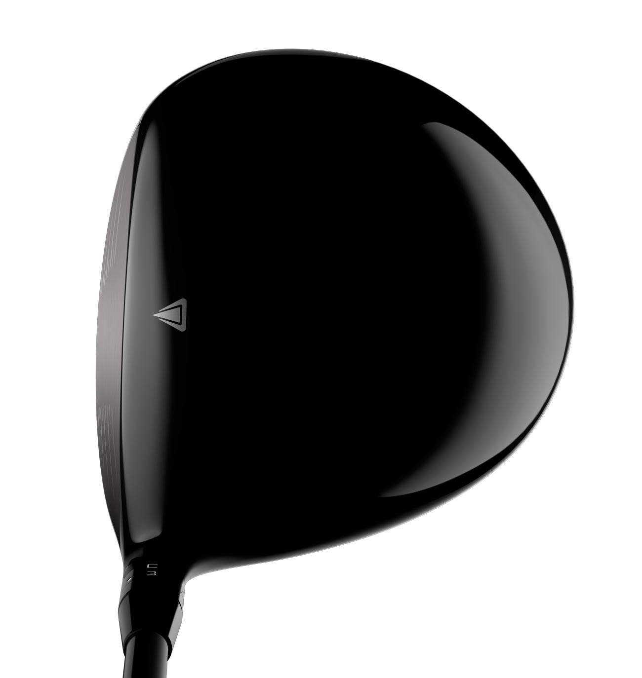 The Titleist TS1 driver at address.