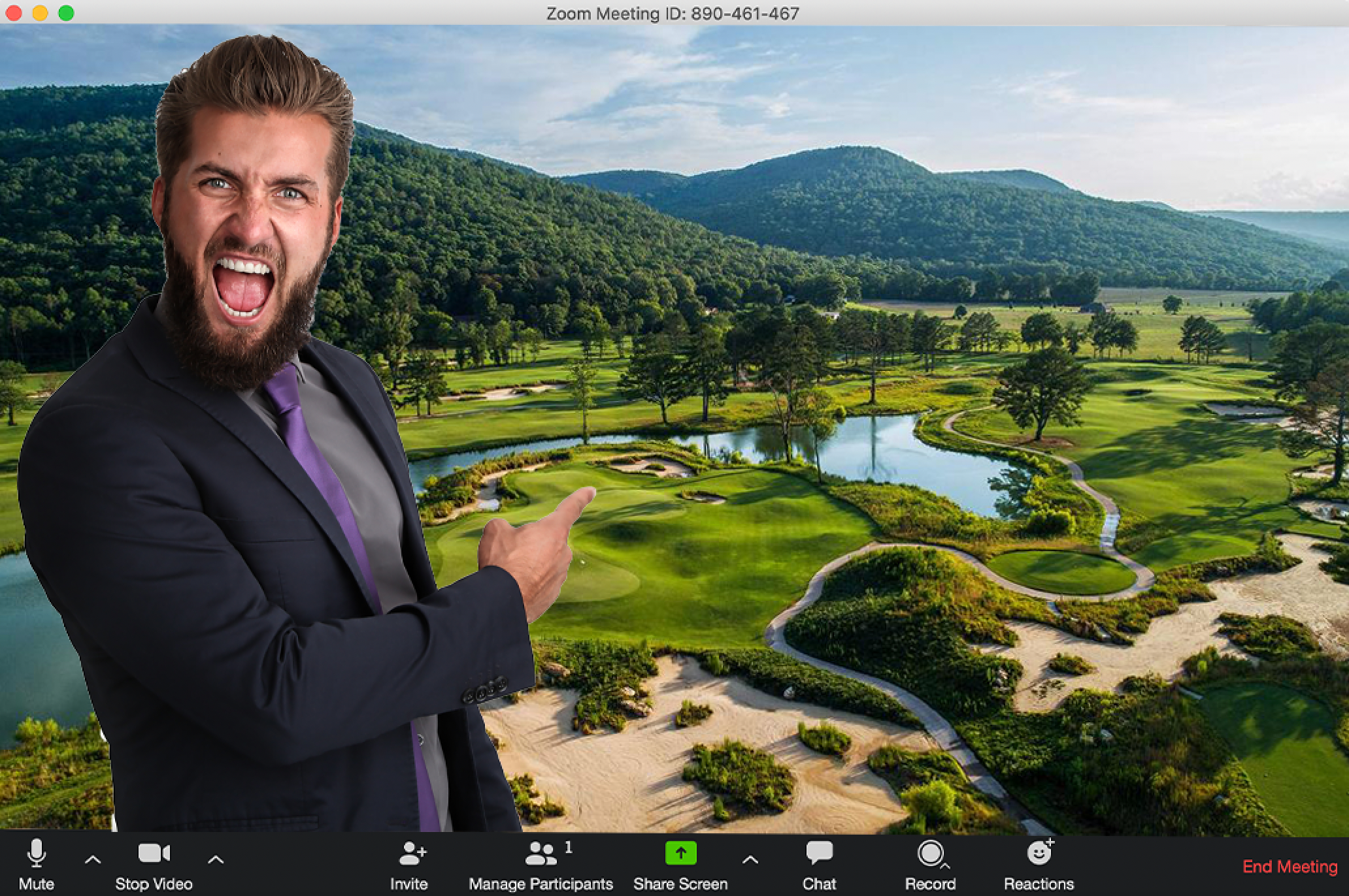 zoom background sweetens cove