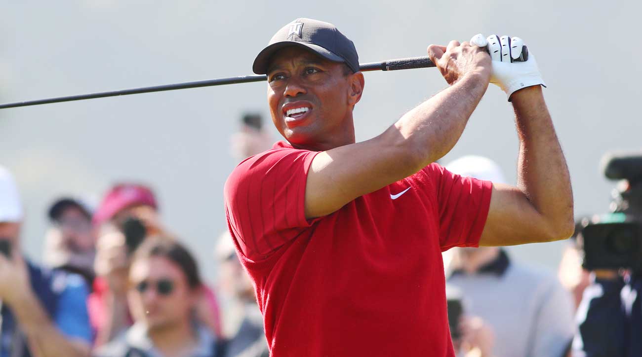 Tiger woods swings