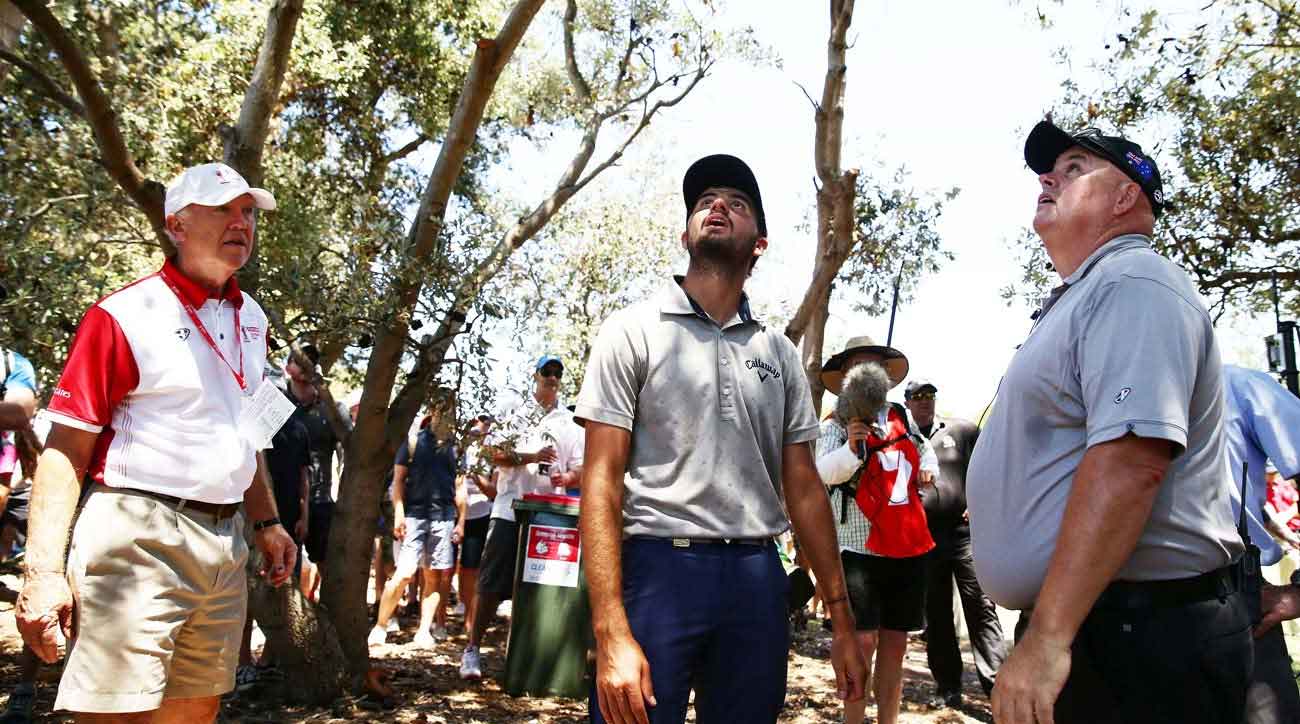 Golfers search for ball in a tree