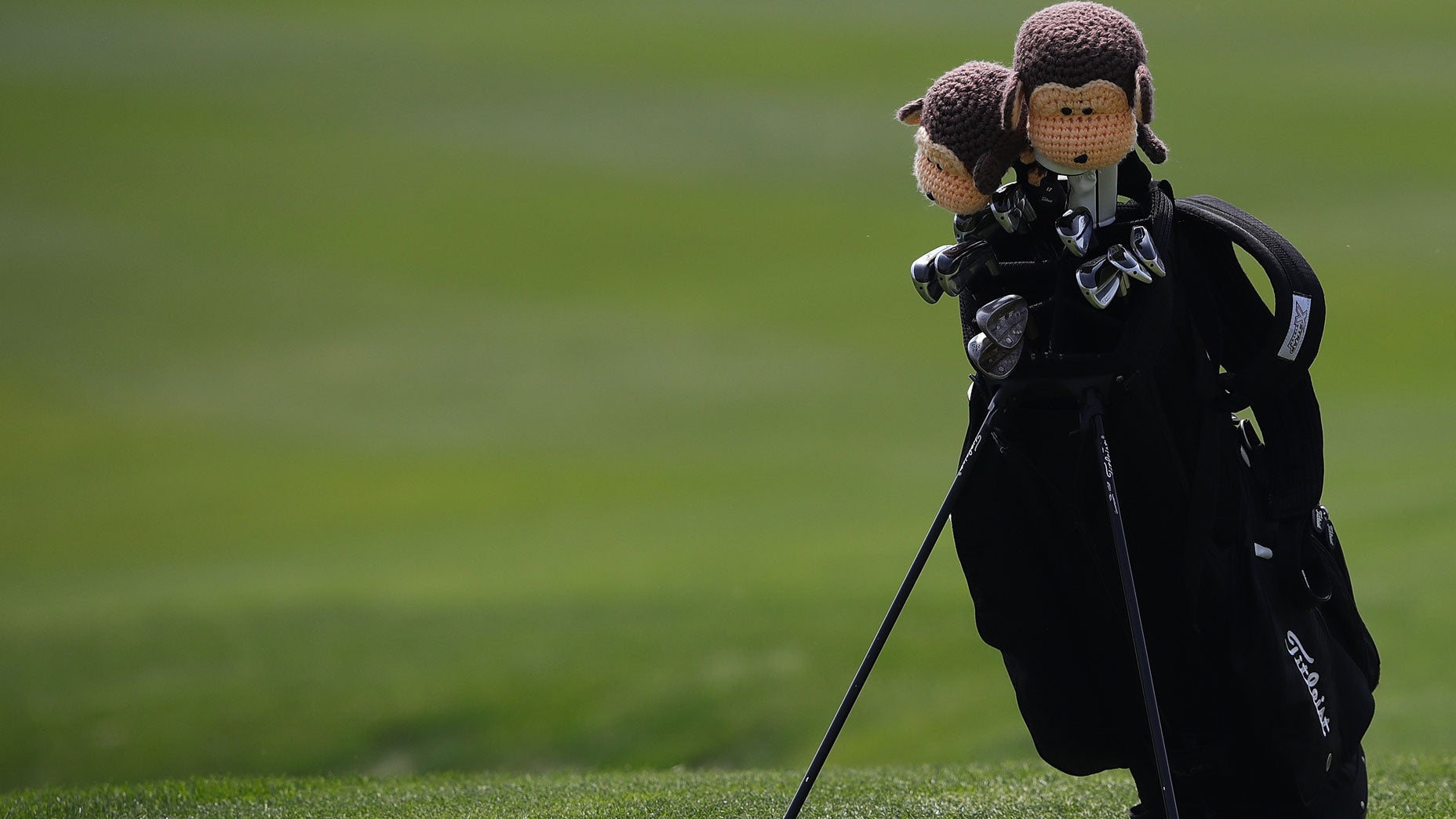 golf bag standing alone