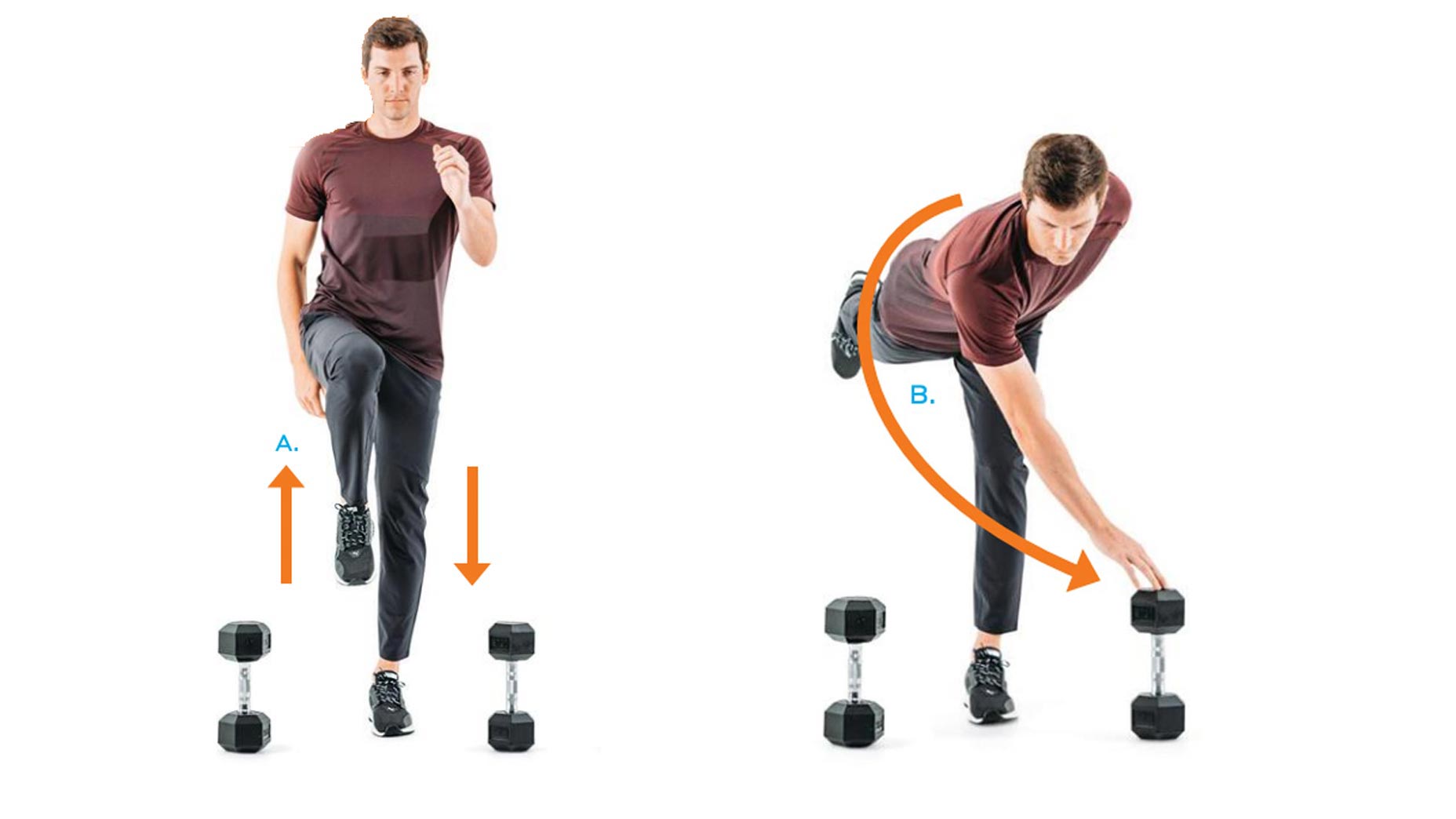 model demonstrates exercise