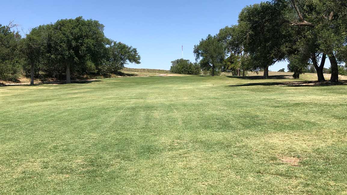 uphill to a green at meadowbrook golf course