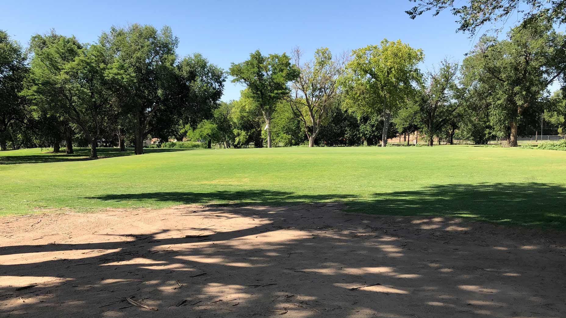 golf green with hard pan lie
