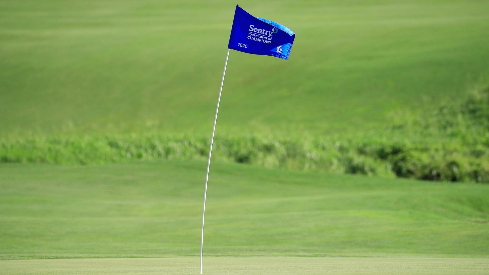 flagstick blowing in the wind
