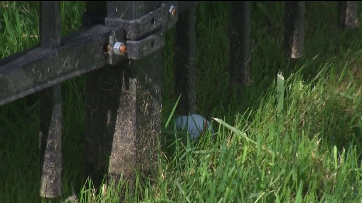 bryson dechambeau fence