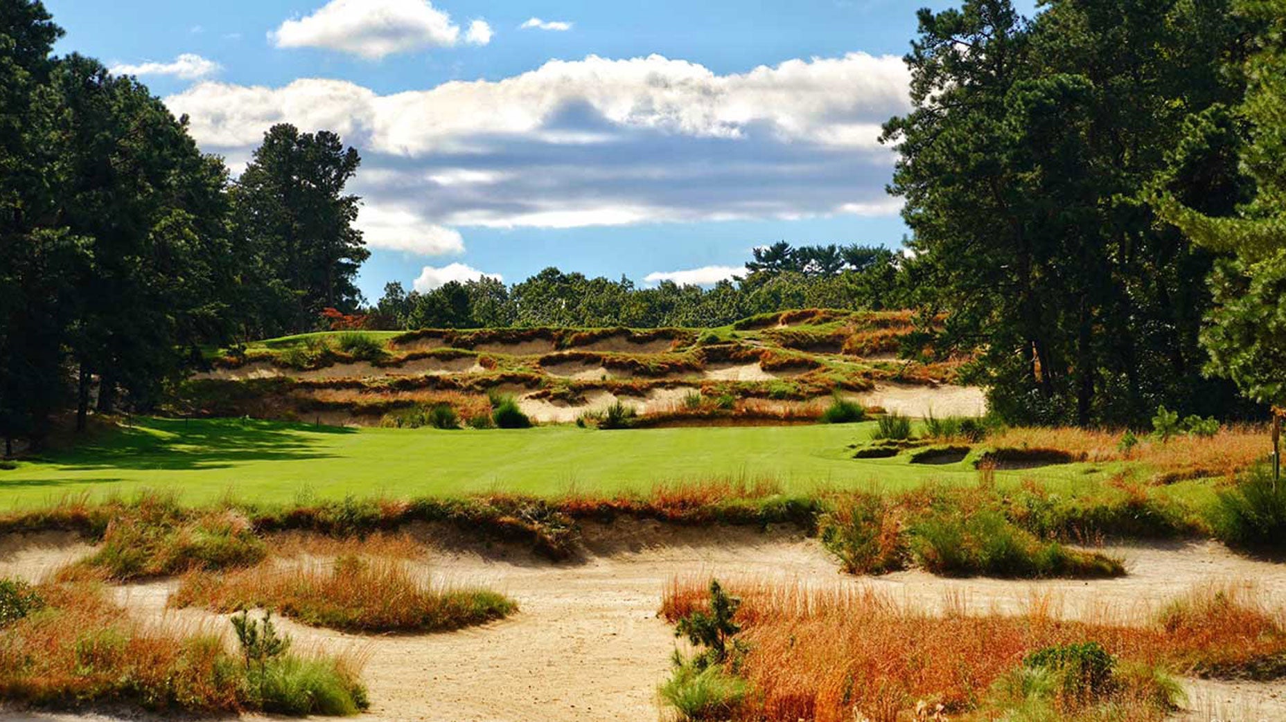 pine valley no bunker rakes