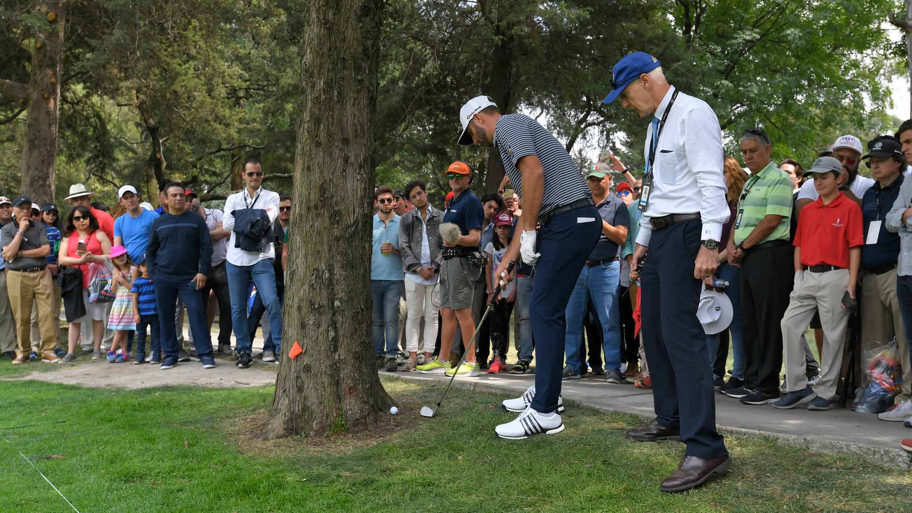 ball against tree