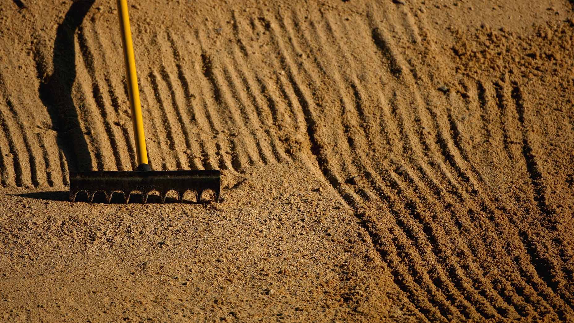 A rake in a bunker.