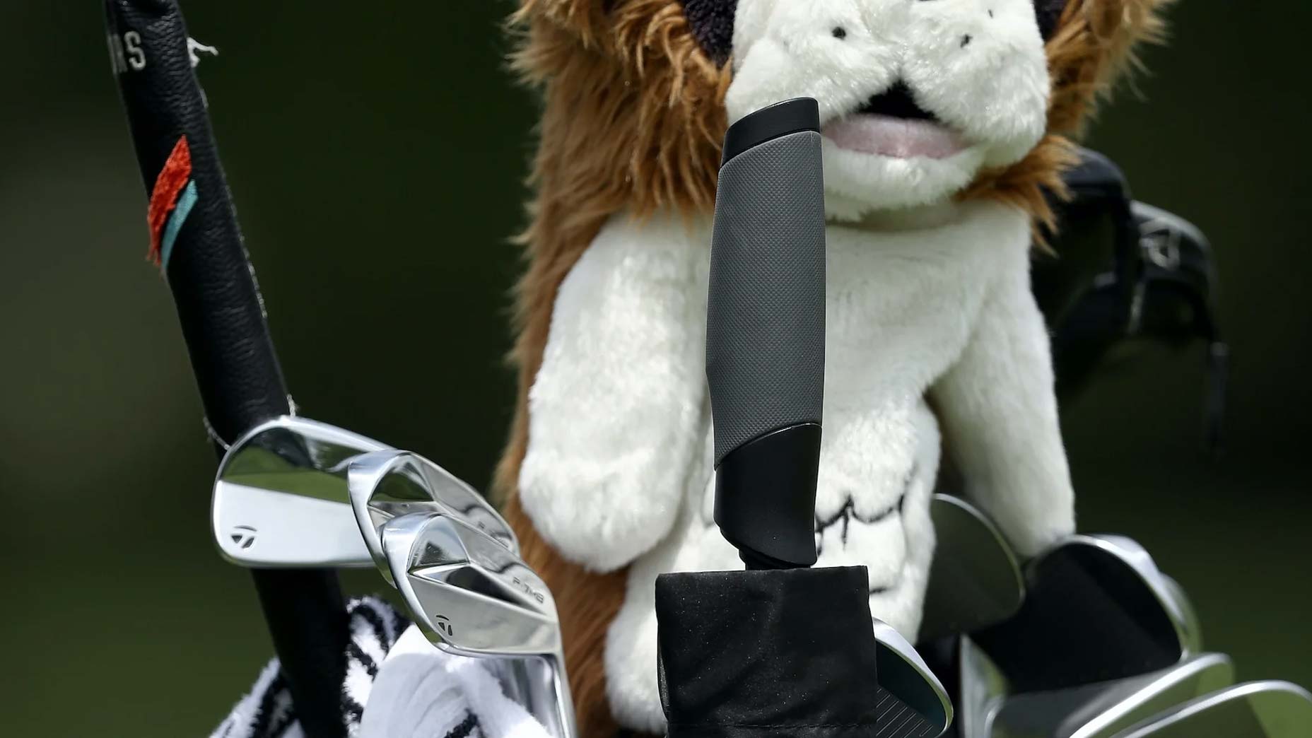 rory mcilroy taylormade irons