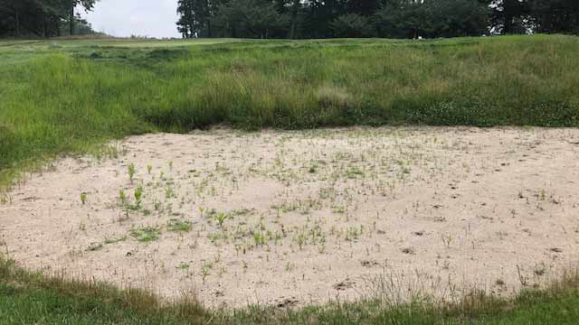 a bunker on the 7th hole at yale gc