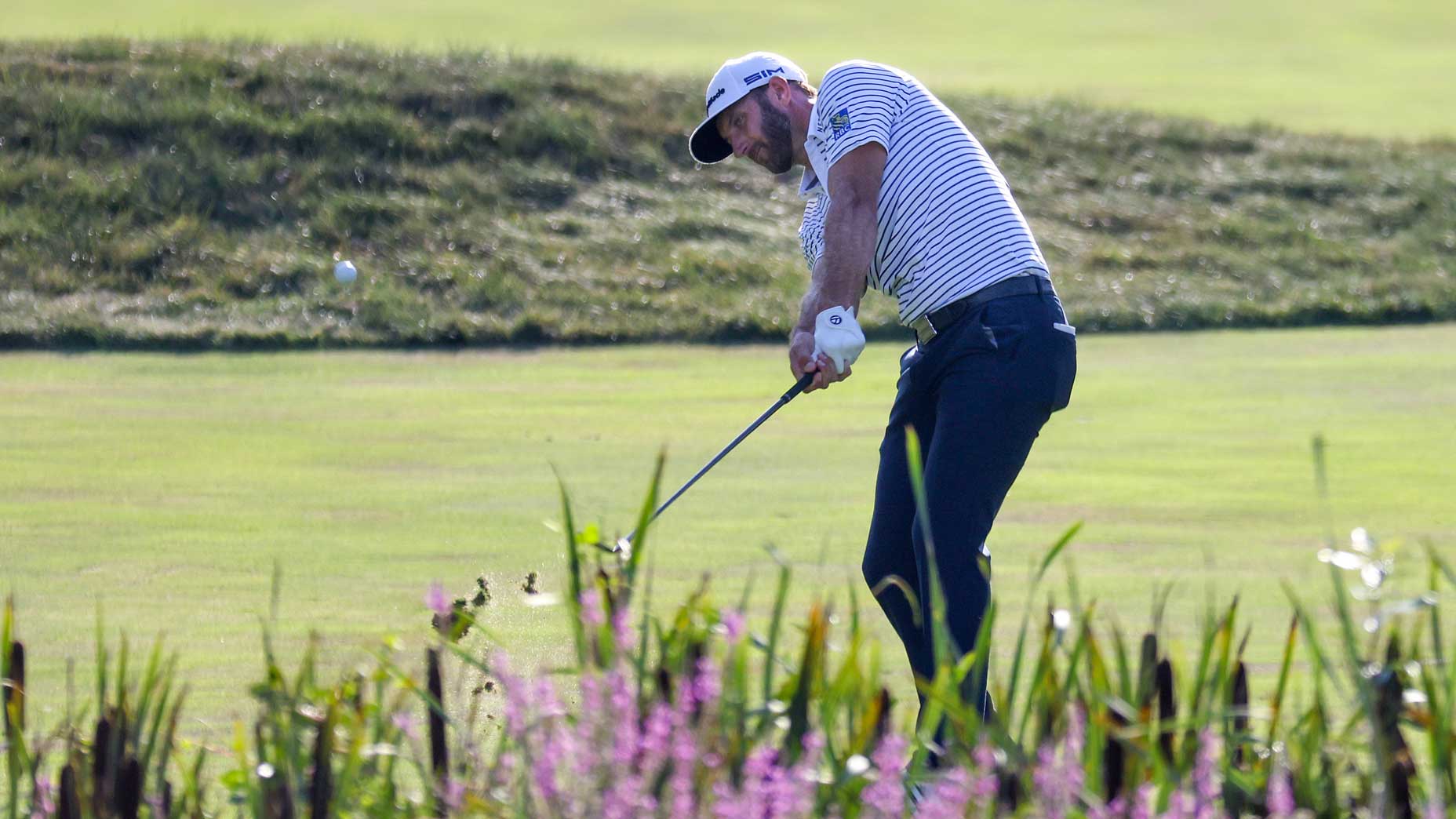 Dustin Johnson