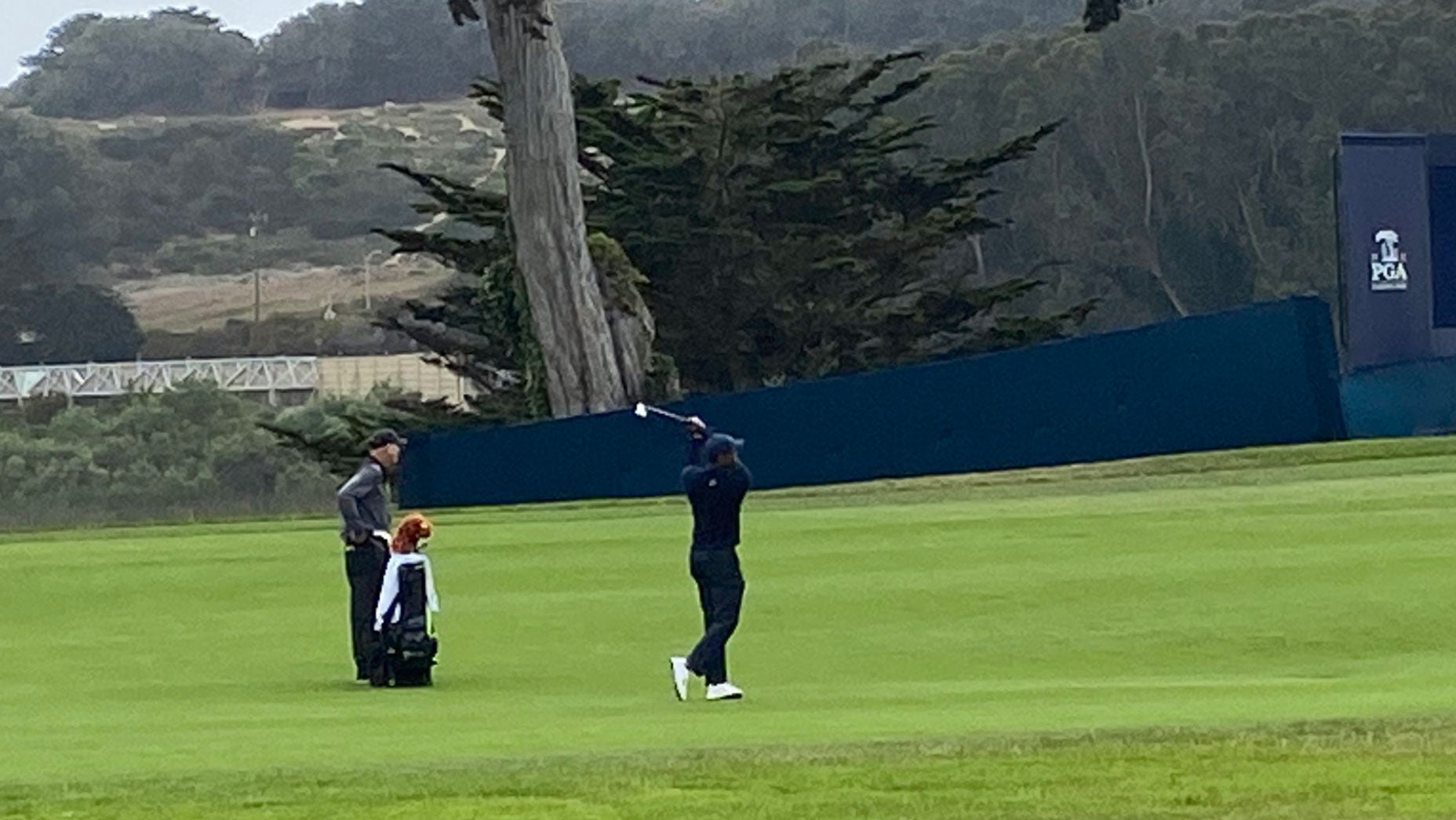 Tiger Woods