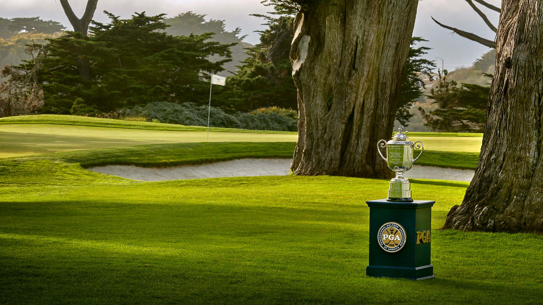 pga championship trophy