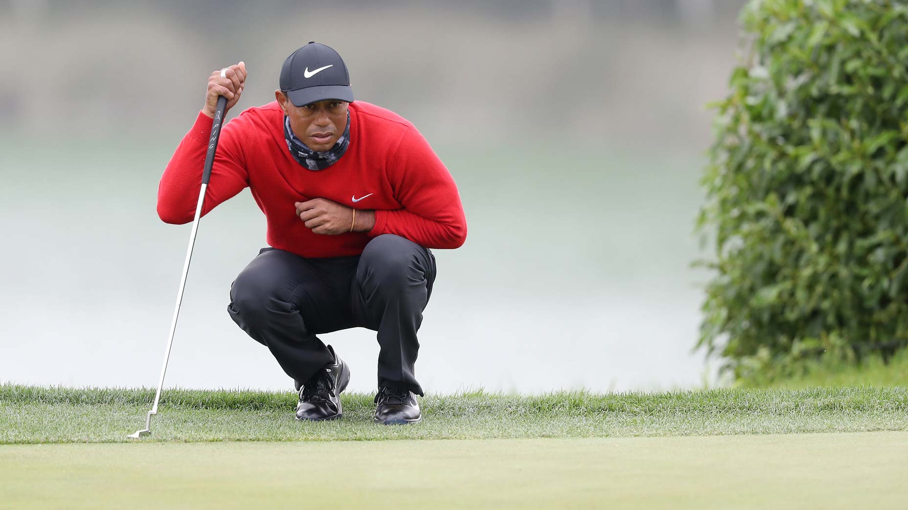 tiger woods reads putt