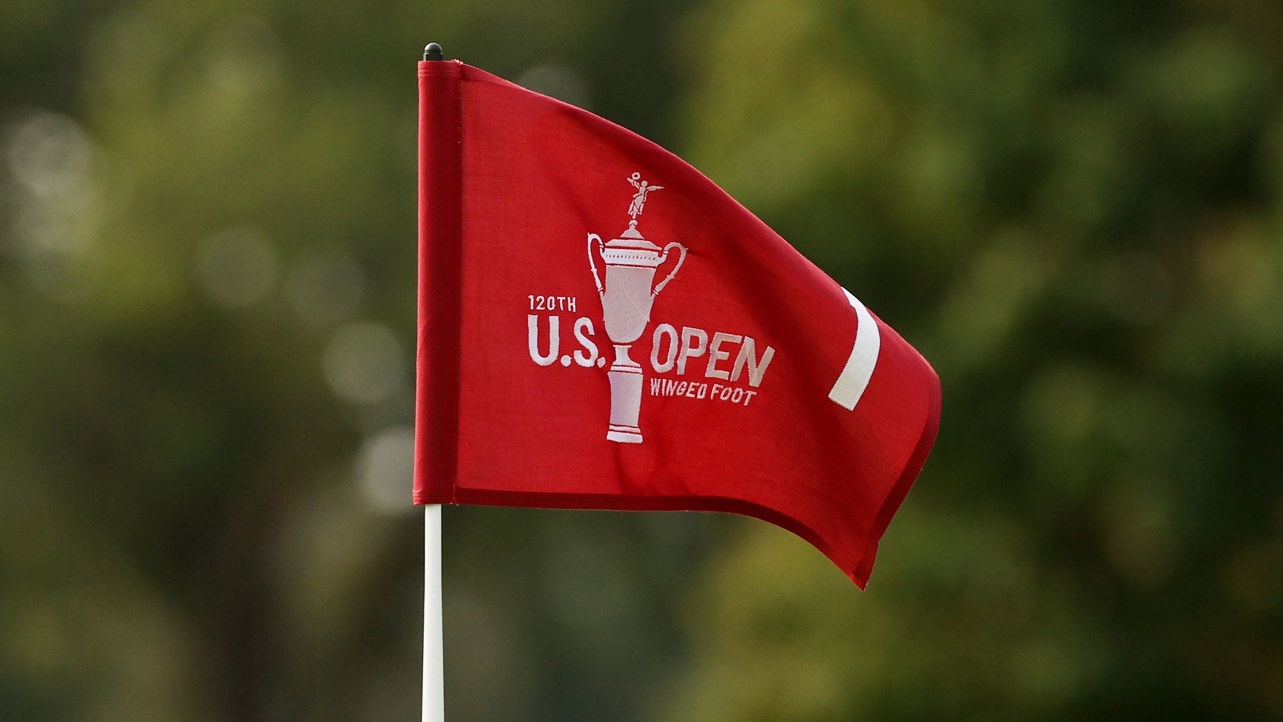 Winged Foot flag