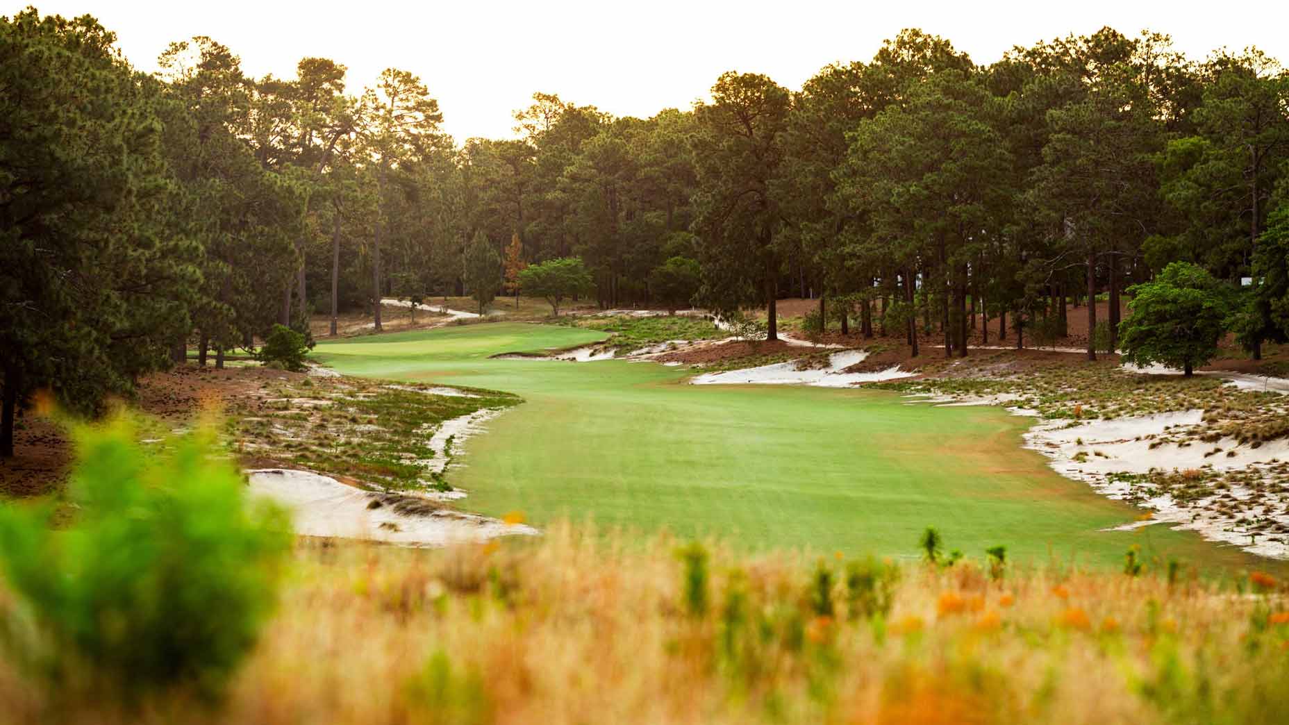 Pinehurst No. 2