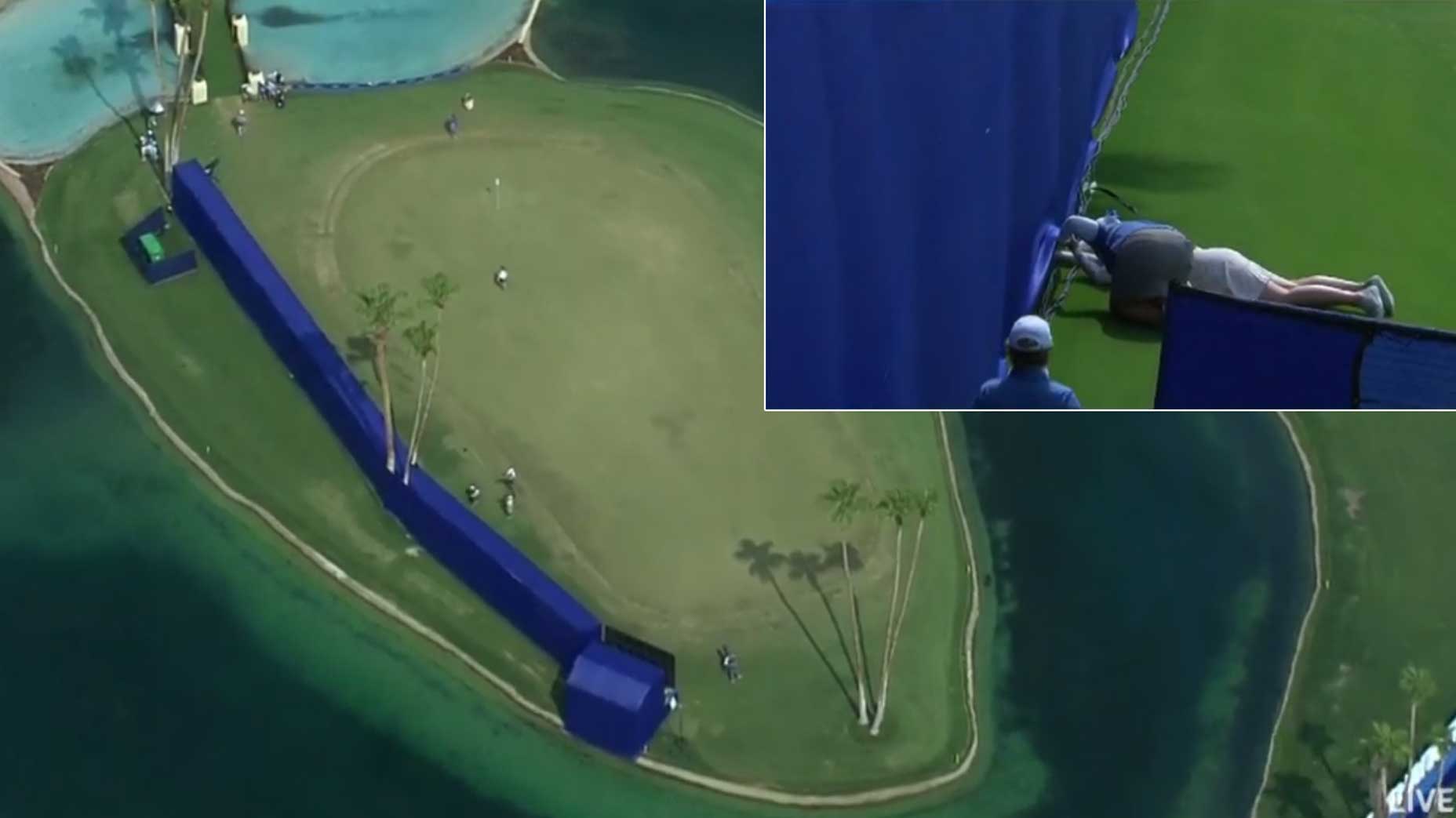 ANA inspiration blue wall