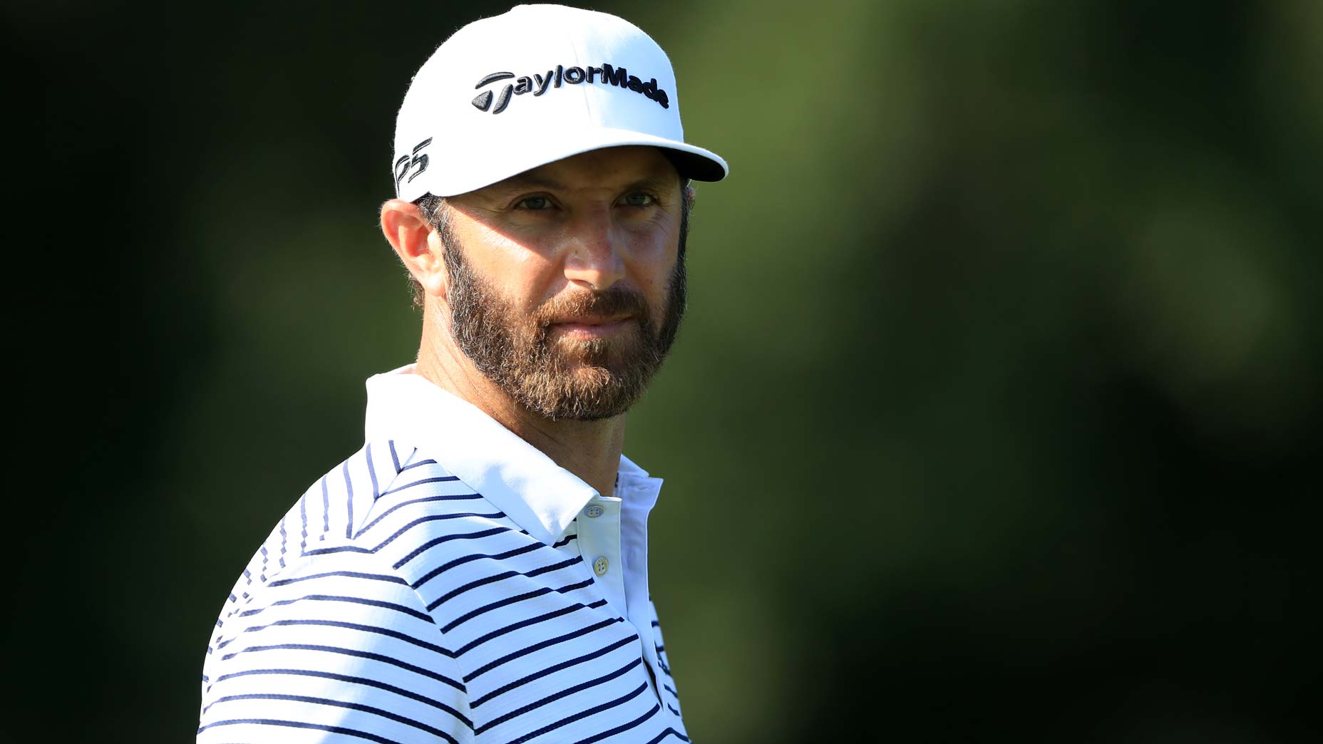 dustin johnson stares