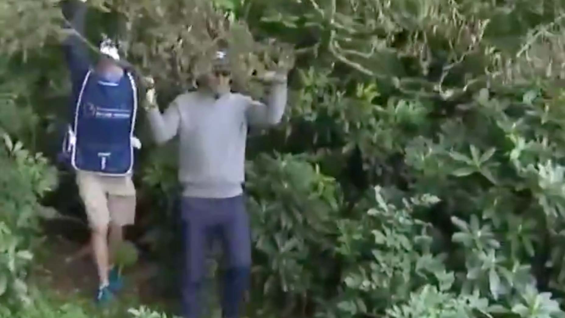 Padraig Harrington employs one of wildest use of rules you'll ever see