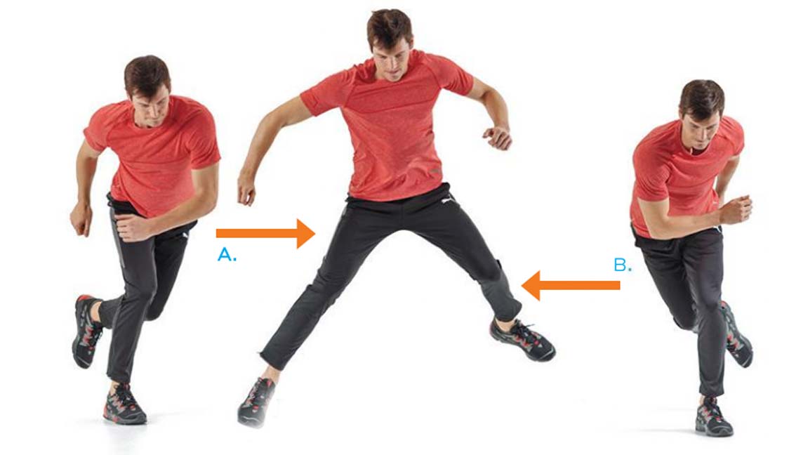 model does exercise
