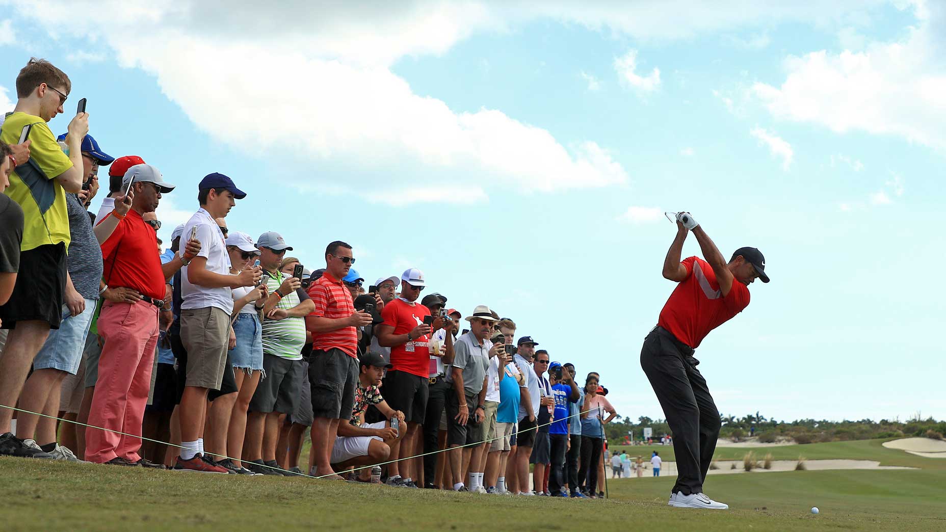 Tiger Woods