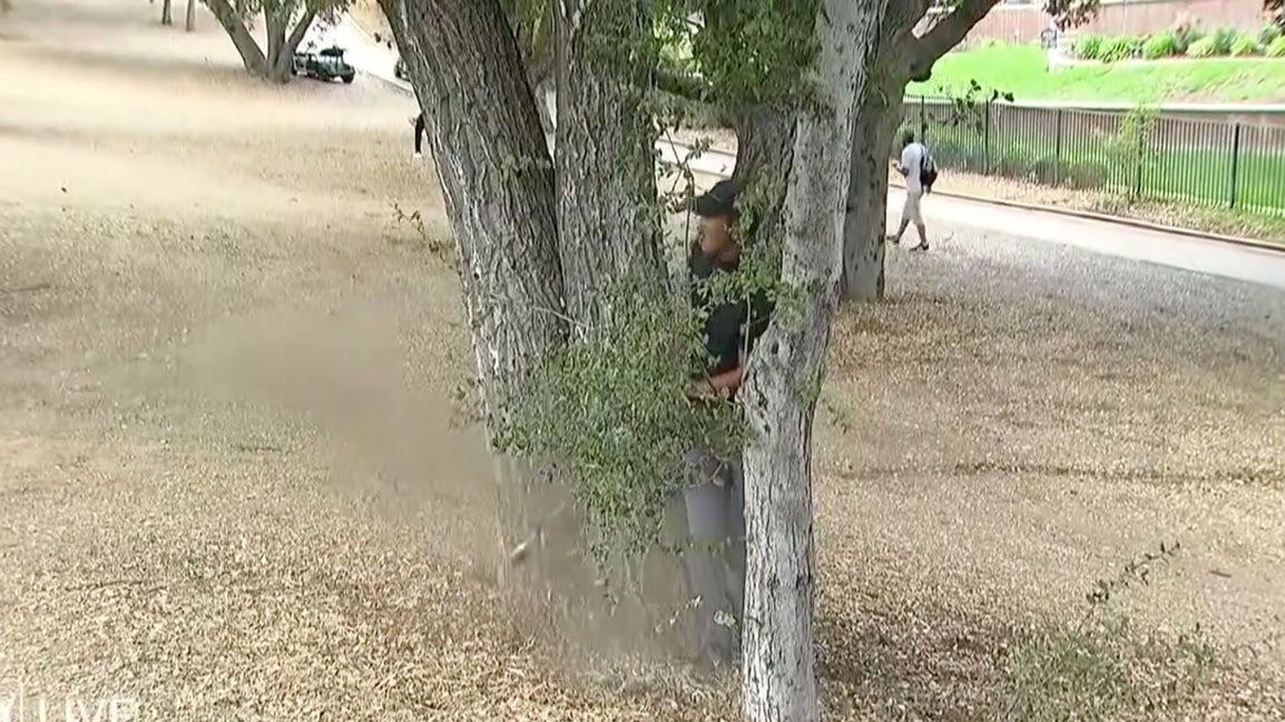 At No. 11, Tiger Woods had to punch out lefty.