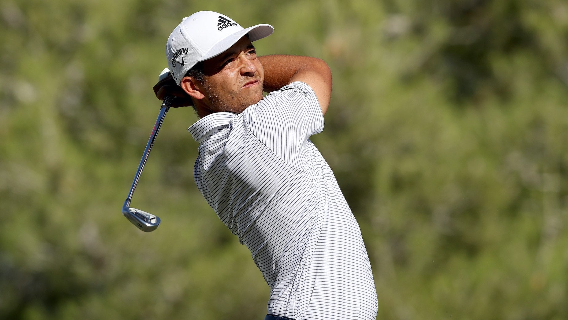 xander schauffele