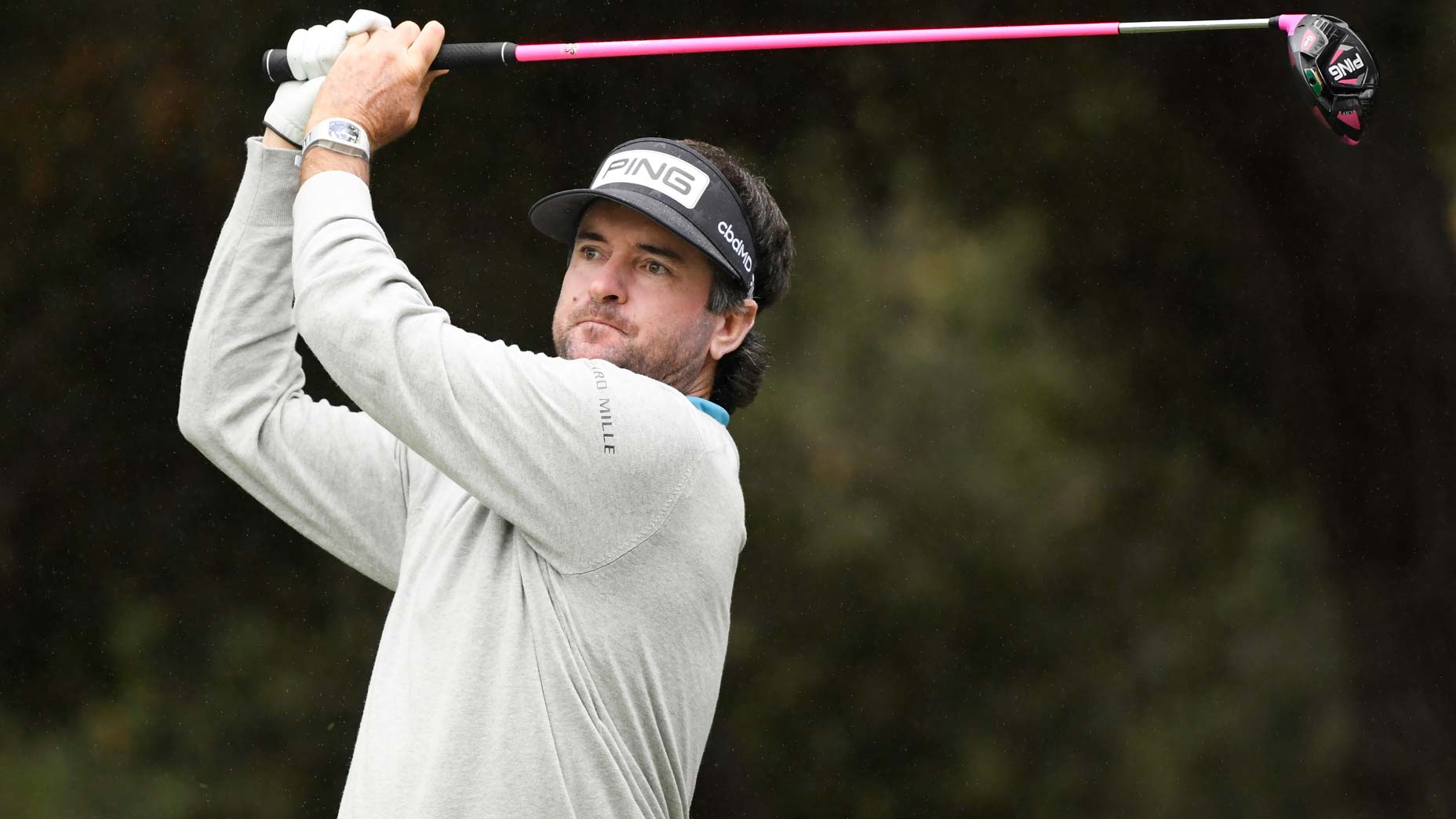 bubba watson swings