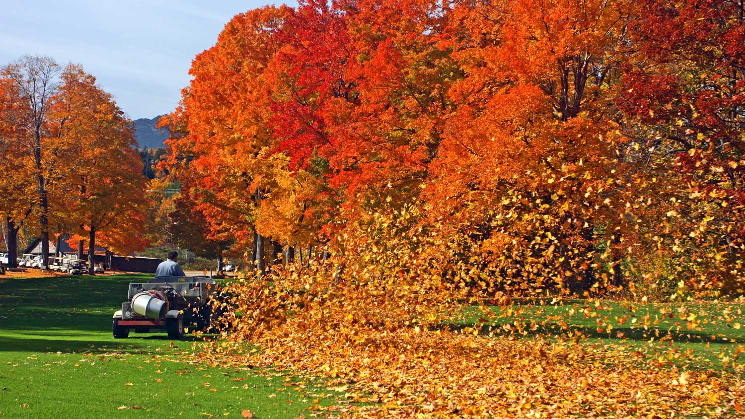 clearing leaves off golf course