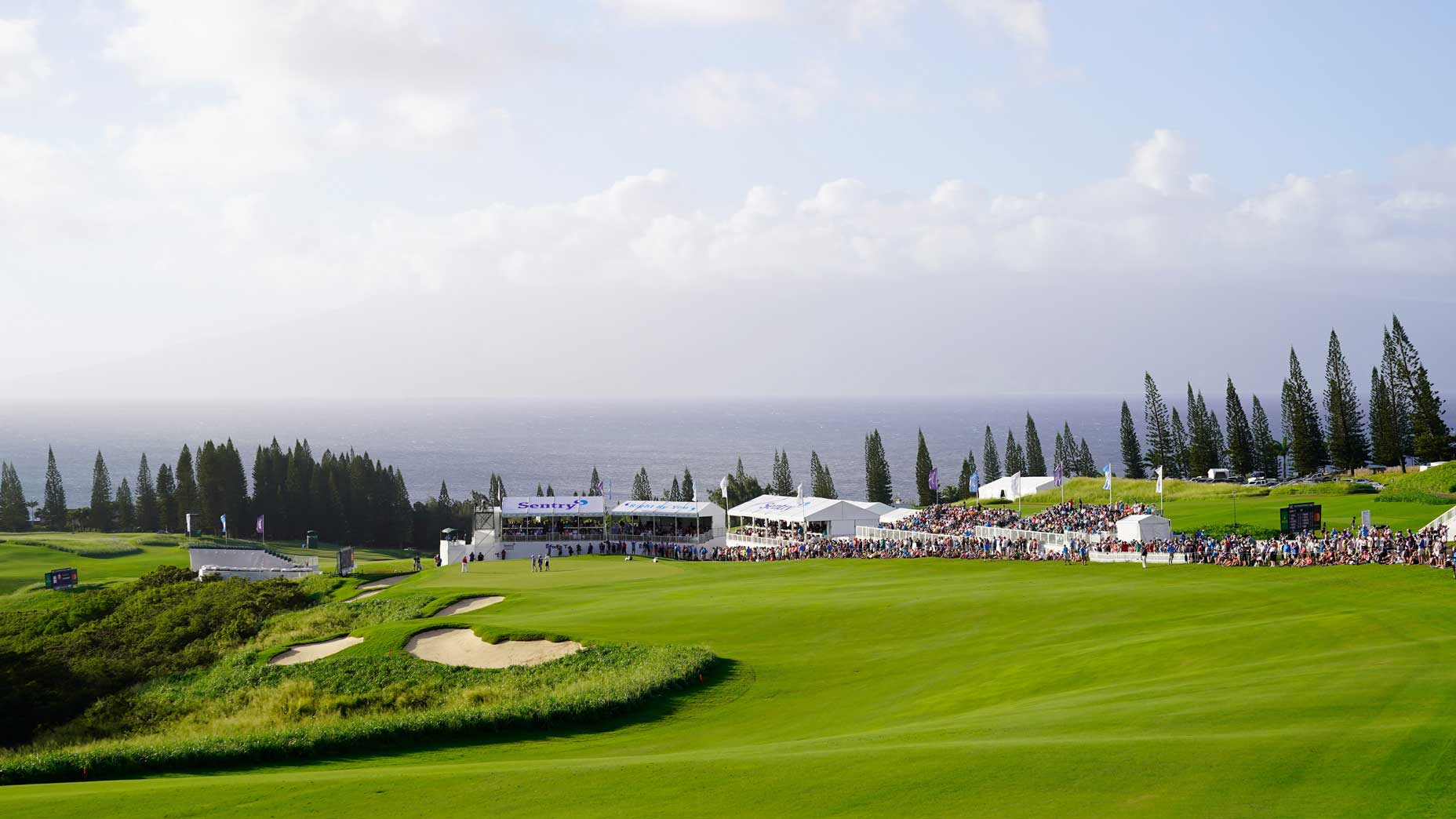 kapalua plantation course