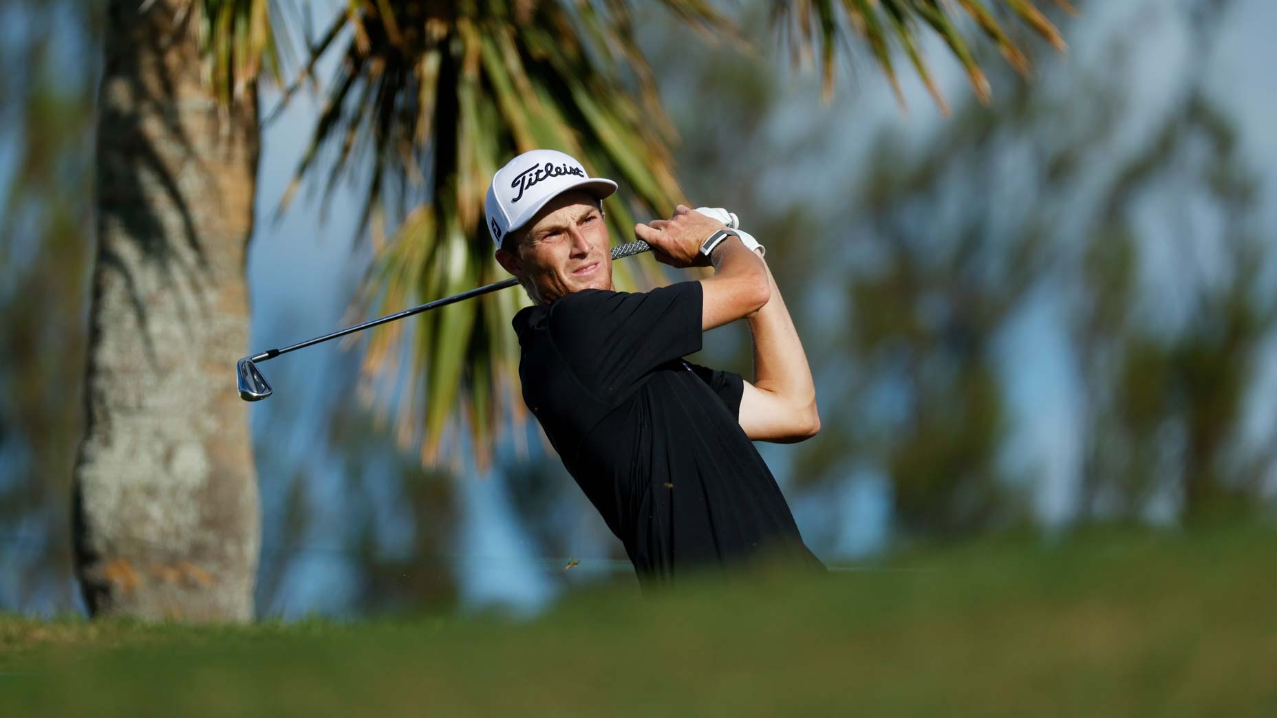 will zalatoris swings