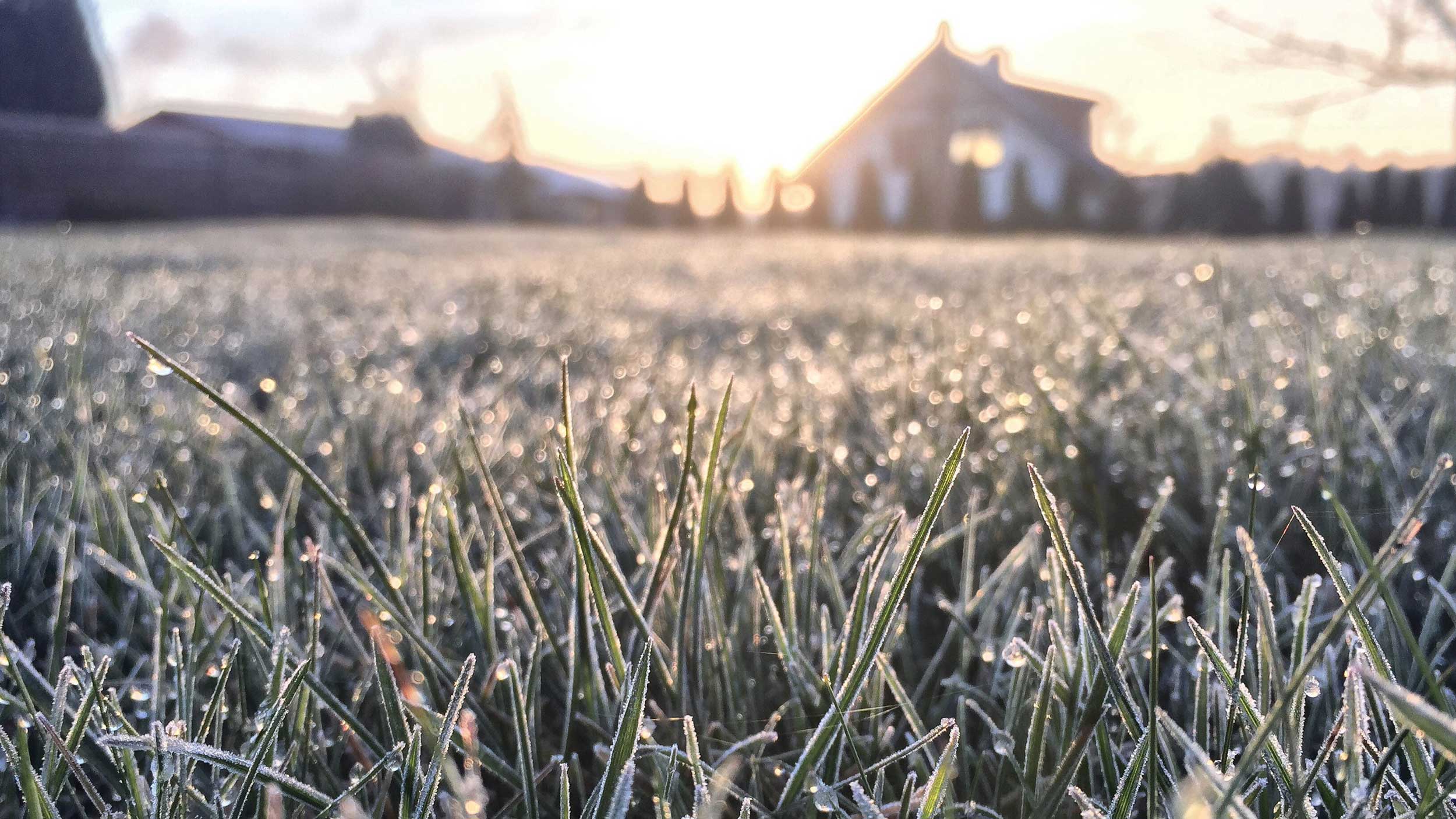 How to winterize your lawn, according to a golf-course superintendent