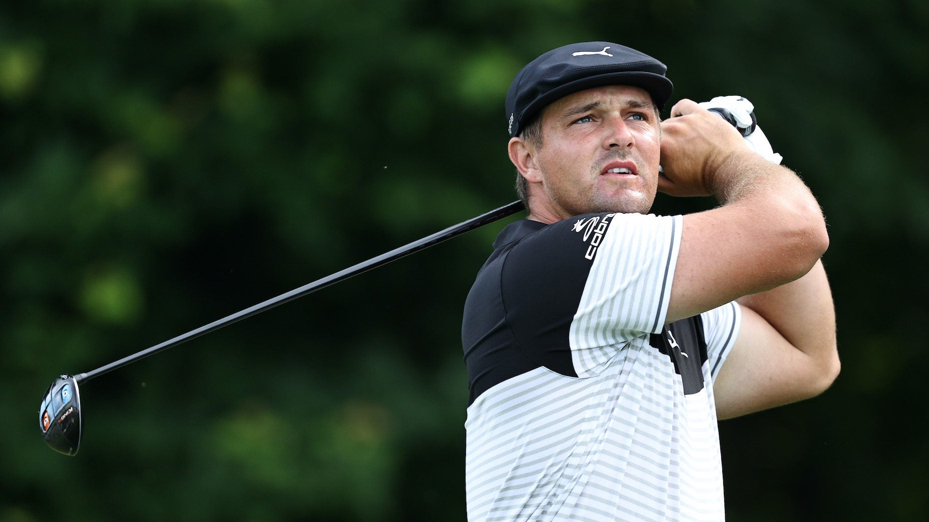 bryson dechambeau f6