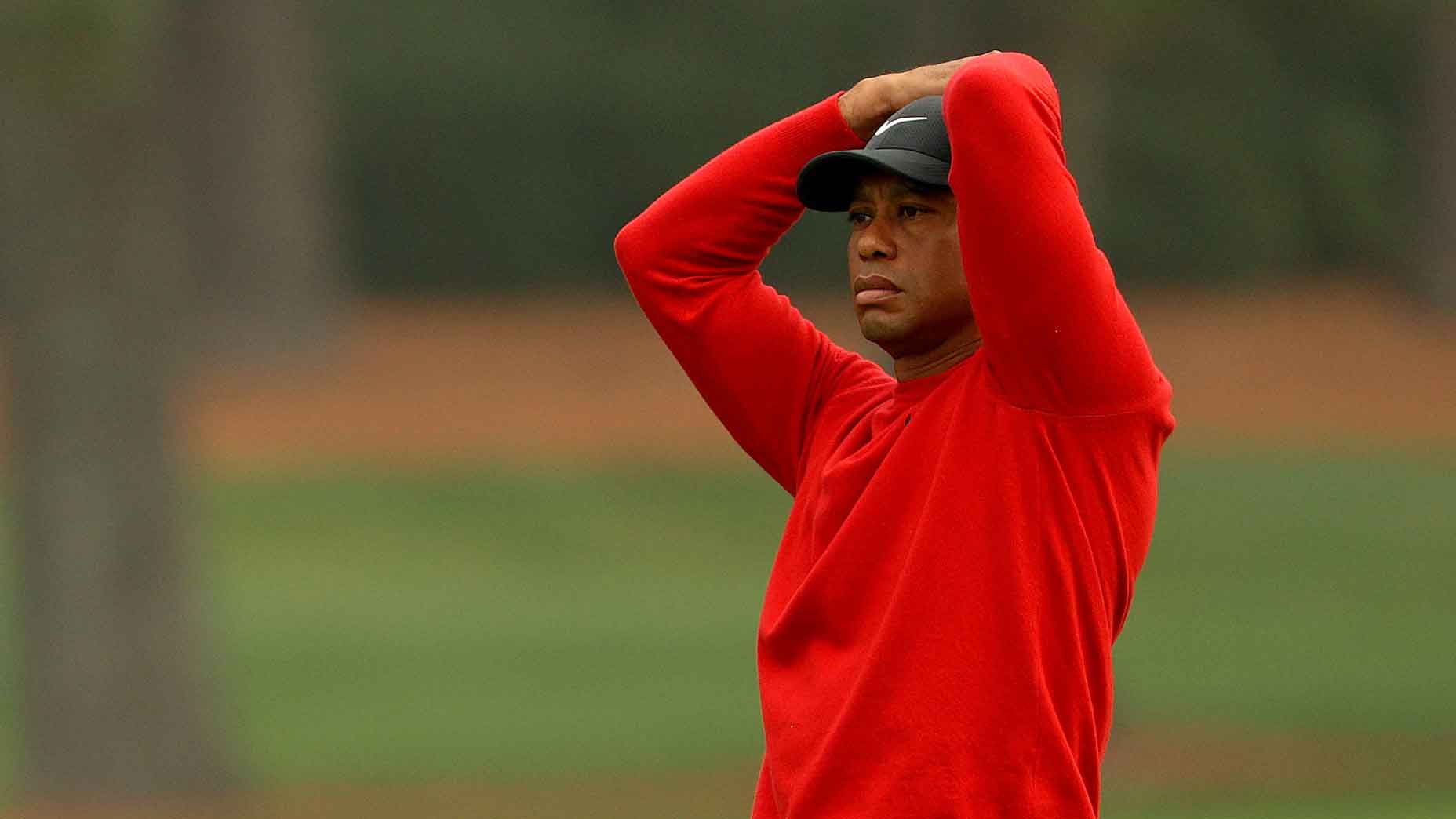 Tiger woods