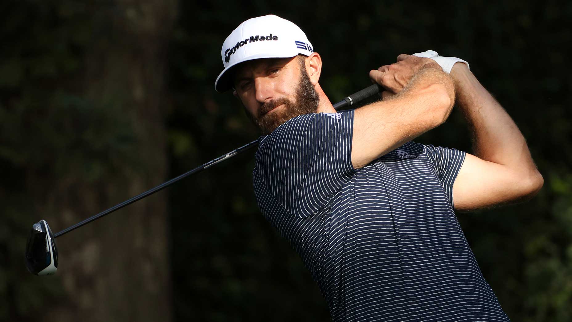 Dustin Johnson