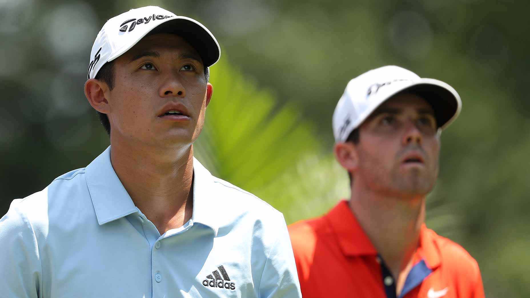 collin morikawa matthew wolff stare