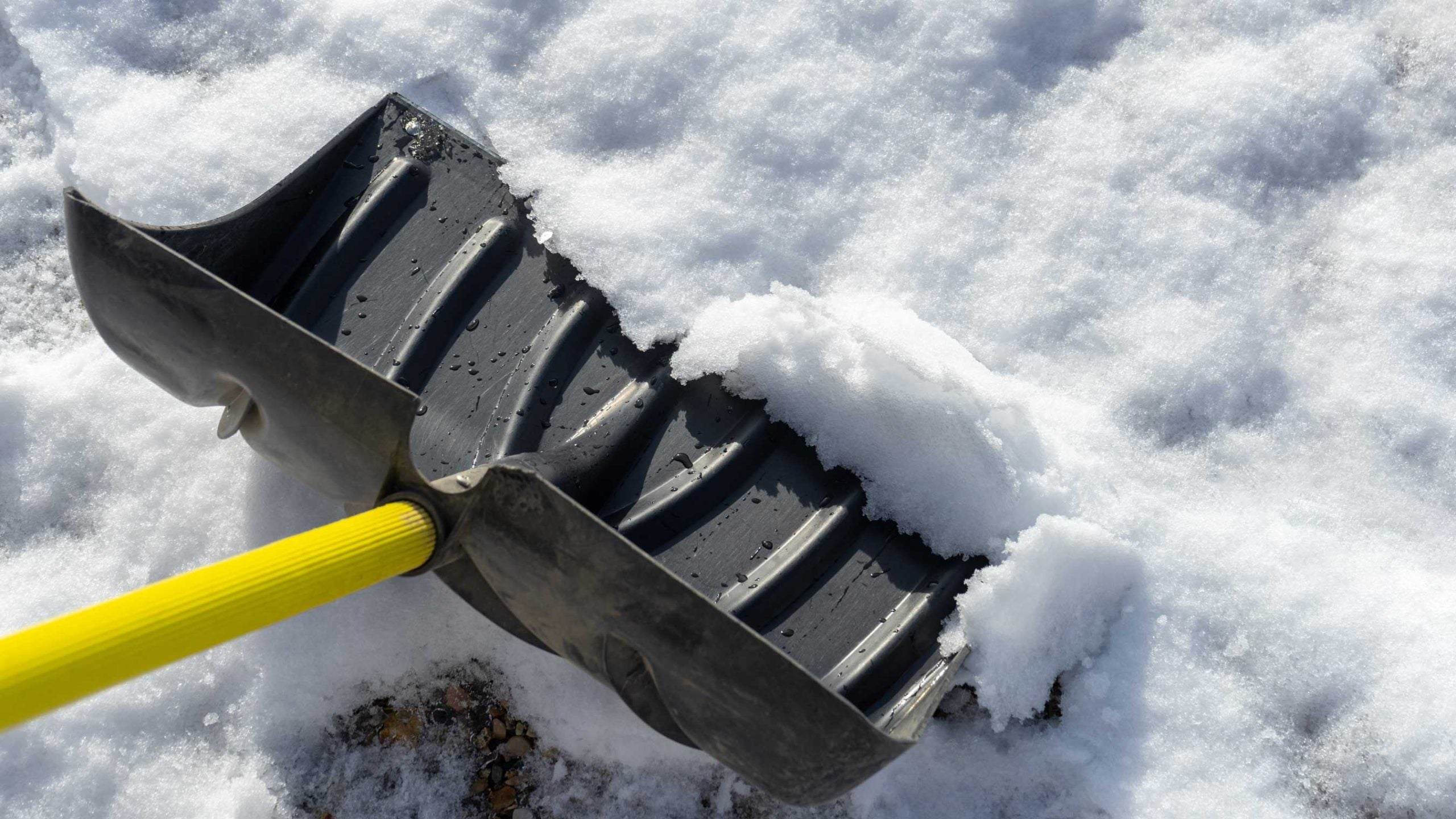 3 ways to protect your yard from snow, according to golf-course superintendents